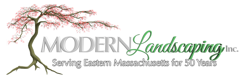 landscaping contractors, Landscaping Eastern Mass, Pool contractors, Modern Landscaping Inc