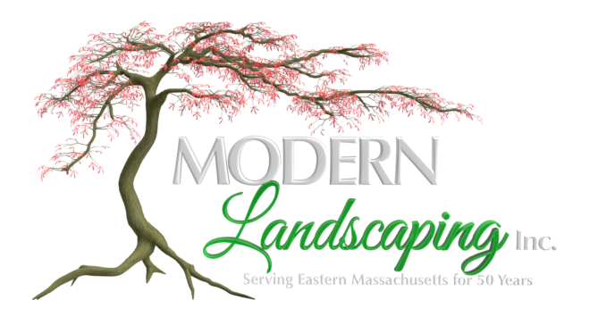 landscaping contractors, Landscaping Eastern Mass, Pool contractors, Modern Landscaping Inc